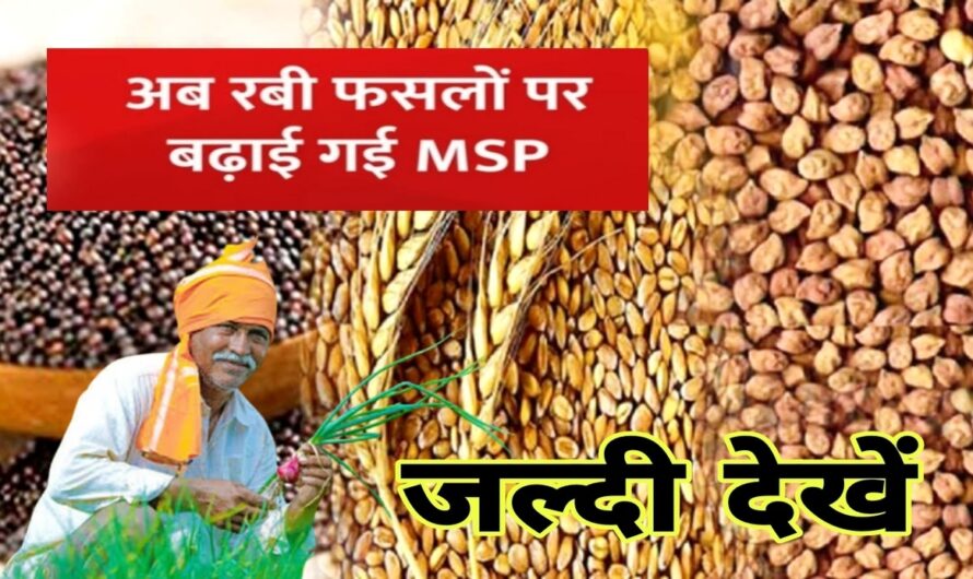 Kisan News: दिवाली पर किसानों को डबल तोहफा,रबी की फसलों पर बढ़ाई गई MSP, जल्द देखे