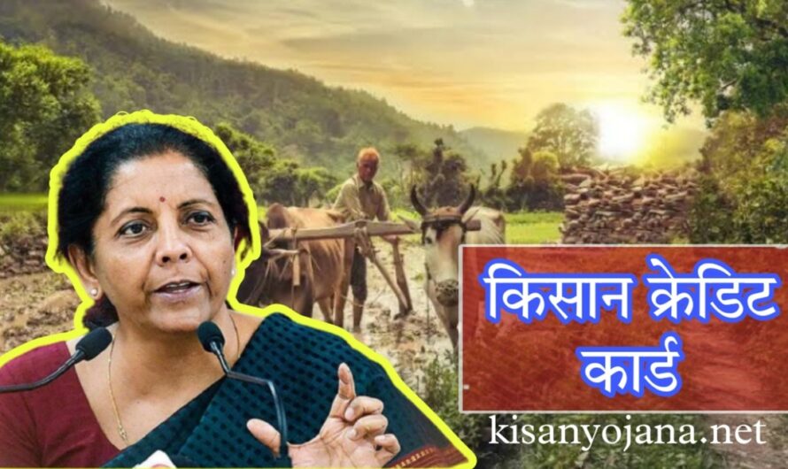 Kisan News: किसानों की आमदनी बढ़ाने के लिए वित्त मंत्री ने किया बड़ा ऐलान, सुनकर खुशी से उछल पड़ेंगे