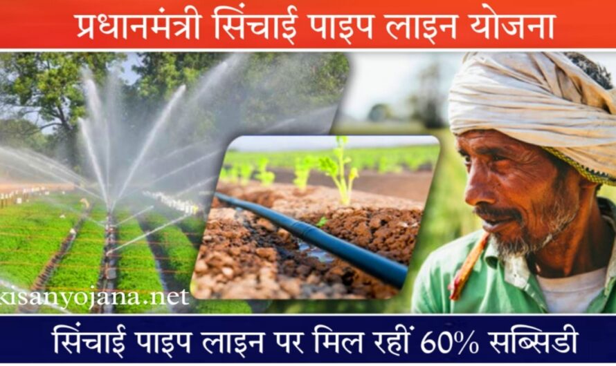 Kisan Yojana: किसानों को सिंचाई पाइप लाइन पर मिल रही 50% सब्सिडी, ऐसे करें आवेदन