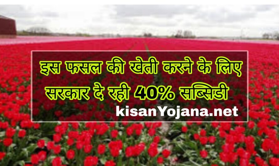 Kisan News: किसानों को यह खेती करने के लिए सरकार देगी 40% सब्सिडी, जल्दी करें यहां आवेदन