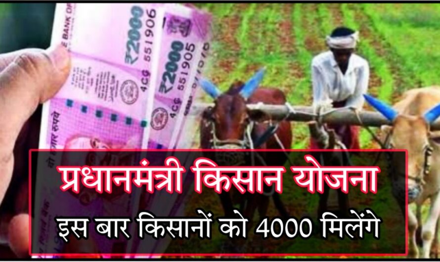 PM Kisan Yojana: पीएम किसान की 13 वी किस्त पर किसानों को मिलेंगे 4000 रूपए, देखें कैसे