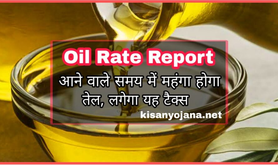 Oil Rate Report: आने वाले समय में महंगा होगा तेल, टैक्स लगाएंगी सरकार, देखें पूरी रिपोर्ट