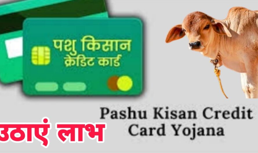 Kisan Credit Card: पशु किसान क्रेडिट कार्ड स्कीम से किसानों को होंगे अनेक फायदे, ऐसे करें ऑनलाइन आवेदन