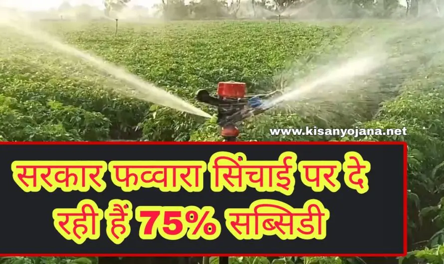 सरकार फव्वारा सिंचाई पर दे रही हैं 75% सब्सिडी साथ में से होगी 55 फीसदी तक पानी की बचत, करें आवेदन