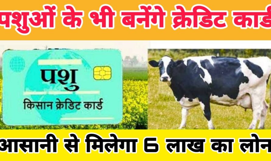 Pashu Credit Card: सरकार पशुओं के भी बना रहीं क्रेडिट कार्ड, आसानी से मिलेगा इतना लोन