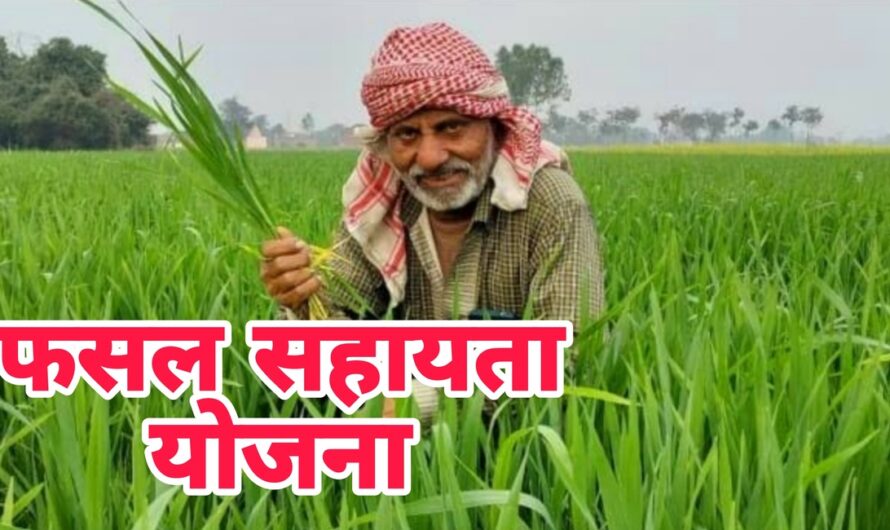 Bihar: फसल सहायता योजना के तहत किसानों को सरकार देंगी लाभ, देखिए योजना की पूरी जानकारी