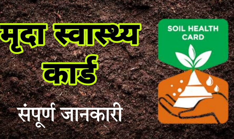 Soil Health Card: किसानों को अच्छी फसल की खेती के लिए उठाना होगा मृदा स्वास्थ्य कार्ड का लाभ, देखें कैसे