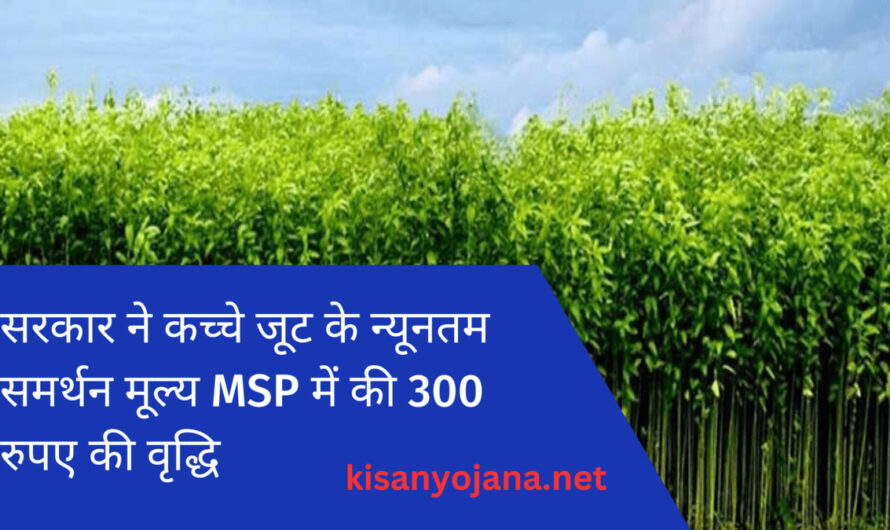 सरकार ने कच्चे जूट के न्यूनतम समर्थन मूल्य MSP में की 300 रुपए की वृद्धि, 40 लाख किसानों को मिलेगा लाभ
