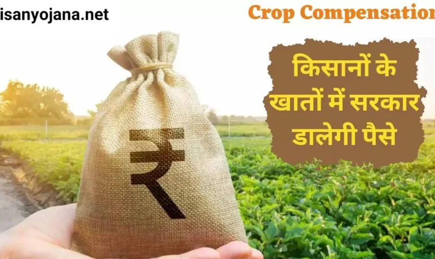 किसानो को मिलेंगे 810 करोड़ रुपये  इस राज्य में इतने लाख किसानों को मिलेगा फसल बीमा का लाभ, : Crop Compensation