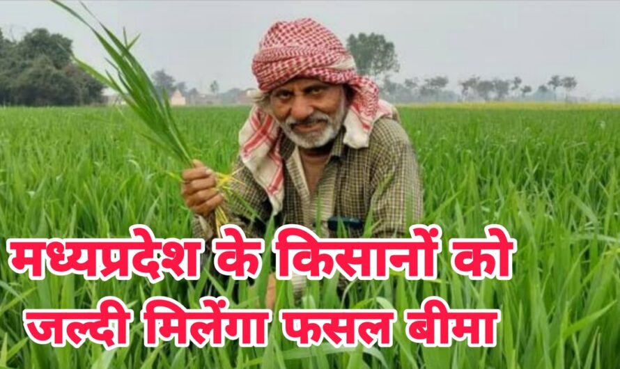मध्यप्रदेश के 25 लाख किसानों की मौज, सीएम शिवराज फसल बीमा के 2900 करोड़ किसानों के खाते में डालेंगे
