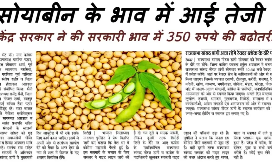 Soybean Rate :- सोयाबीन के भाव में आई बंपर तेजी, यहा देखे आज के ताजा मंडी भाव