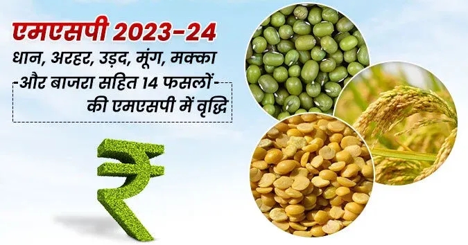 MSP 2023-24: केंद्र सरकार ने बढ़ाया खरीफ फसलों का न्यूनतम समर्थन मूल्य, देखें जारी की गई नई सूची