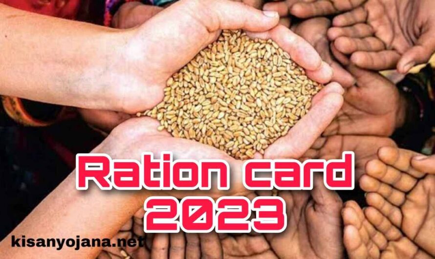 Ration Card Yojana 2023: राशन कार्ड धारकों को लगा झटका, सस्ते गेहूं चावल की बिक्री पर लगाई रोक, लगेगा यह नियम