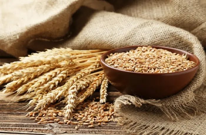 Wheat Rates: गेहूं के भाव 3000 रूपए प्रति क्विंटल के पार जाएंगे या नहीं, देखें गेहूं का भविष्य और तेजी मंदी रिपोर्ट