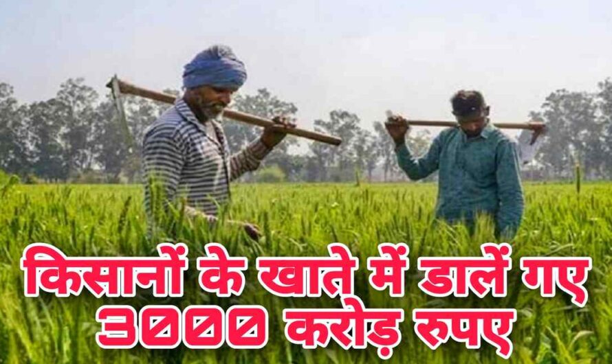 PM Fasal Bima 2023: किसानों के खाते में डालें गए 3000 करोड़ रुपए, लिस्ट में ऐसे देखें अपना नाम