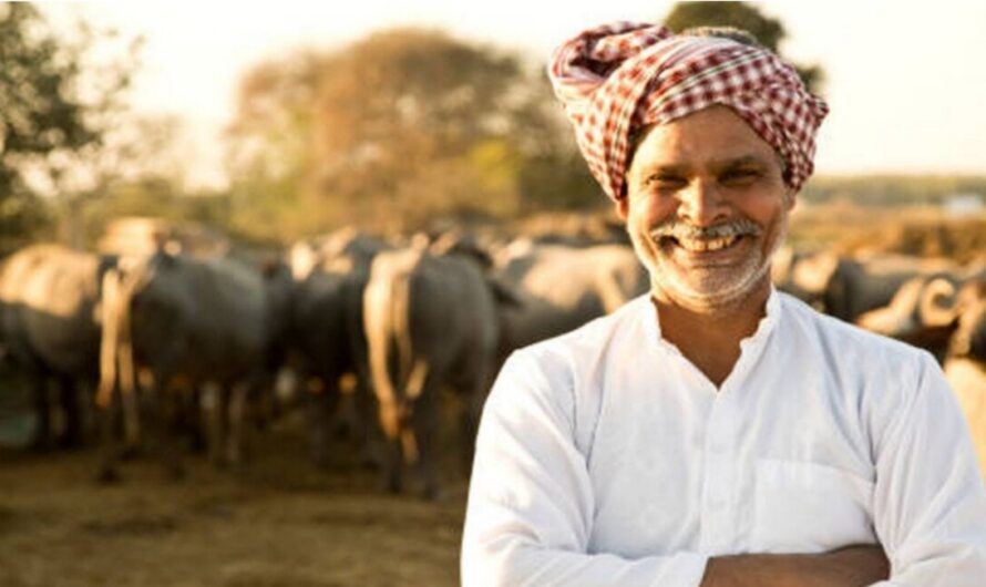 Kisan News: किसानों को दिवाली पर मिला तोहफा, MSP के अलावा यहां मिलेगा दोगुना मुनाफा 