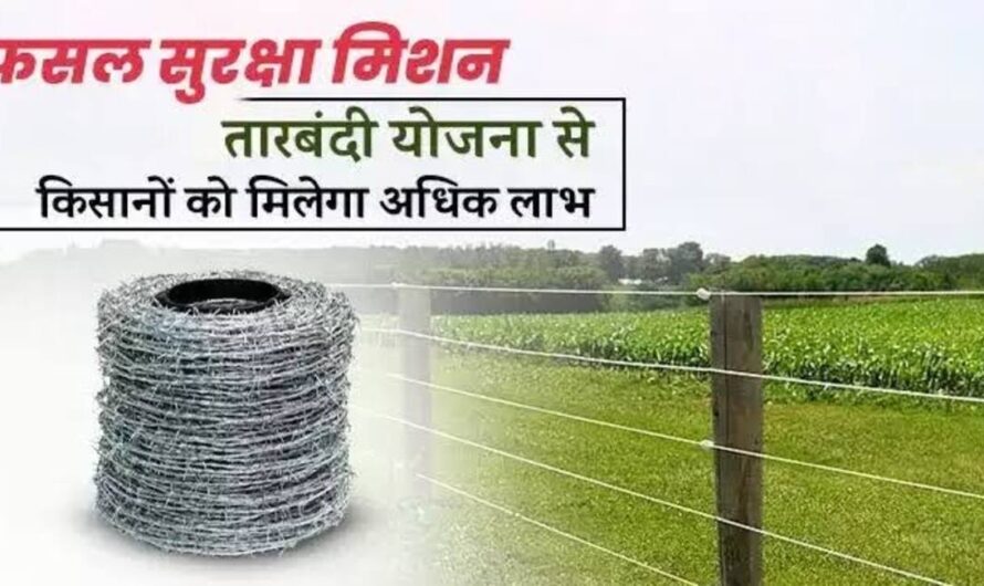 किसानों को सीमेंट पोल और तारबंदी के लिए मिल रहें 55 हजार रुपए, ऐसे उठाएं जल्दी योजना का लाभ