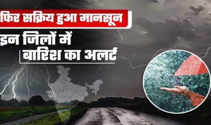 MP Weather Live: बारिश से जलमग्न हुआ मध्यप्रदेश,इन जिलों में बारिश का अलर्ट, देखें रिपोर्ट