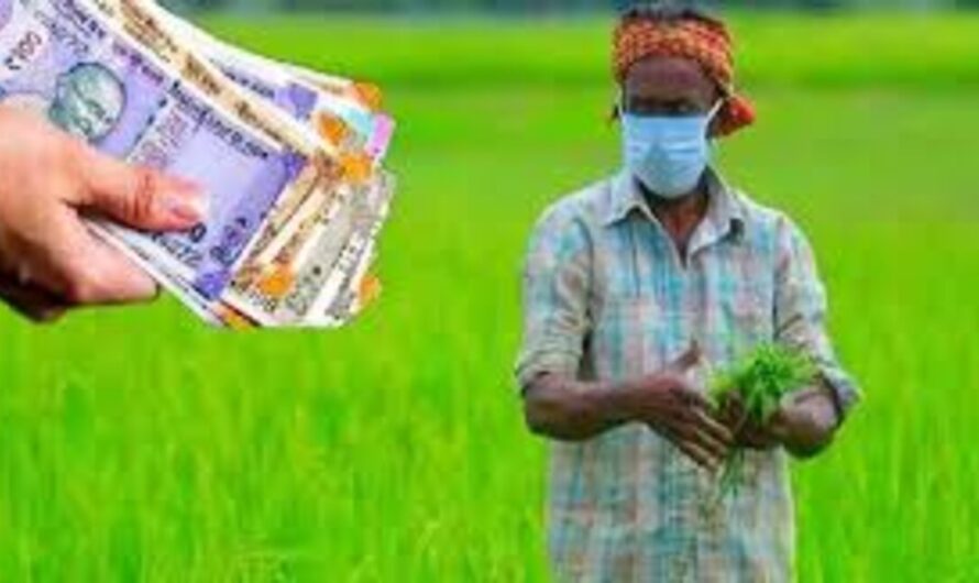 Kisan Yojana 2023: केंद्र सरकार ने इन किसानों के लिए शुरू की नई योजना, किसानों की आय होगी दोगुनी 