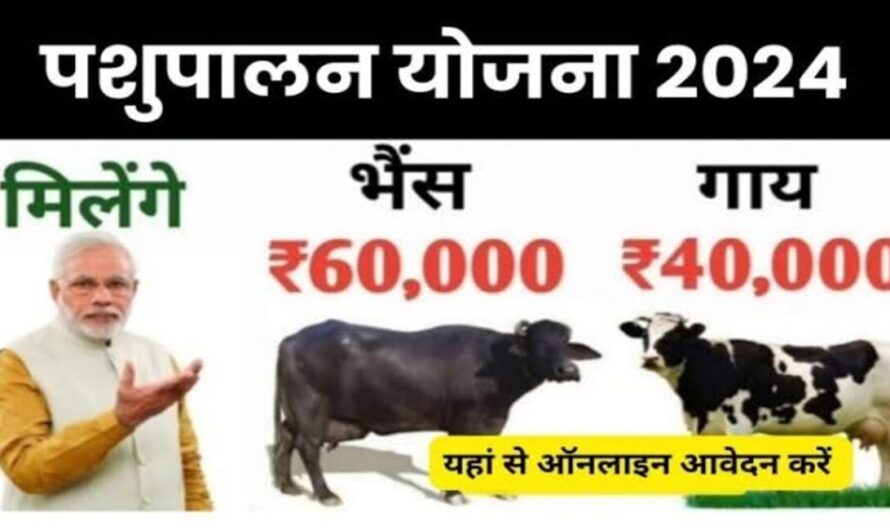 किसान पशु क्रेडिट कार्ड 2024 : गाय पालने पर 40,000 रूपए और भैंस पर मिल रहें 60,000 रूपए, ऐसे उठाएं लाभ 