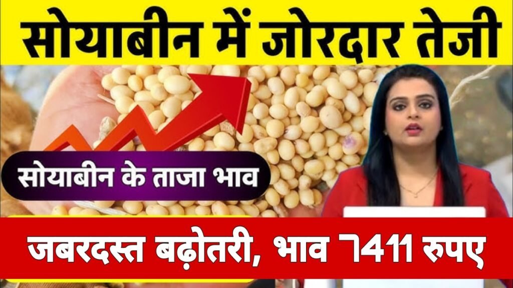 Soybean Bhav: मध्य प्रदेश में सोयाबीन के दामों में बड़ा सकते है, कीमतें पहुंची 7411 रुपए प्रति क्विंटल